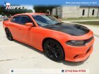 Thumbnail Photo 0 for 2020 Dodge Charger R/T